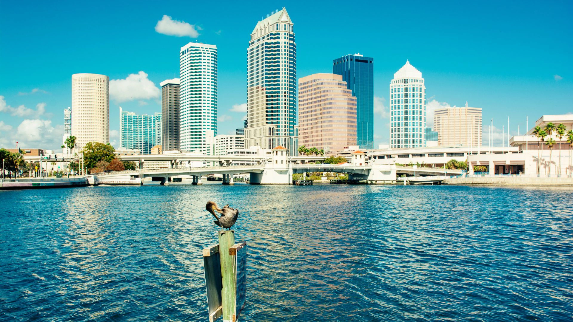 City of Tampa Skyline on Bay