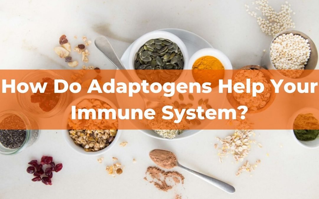 How do Adaptogens Help Your Immune System? Featuring Patrick Valtin