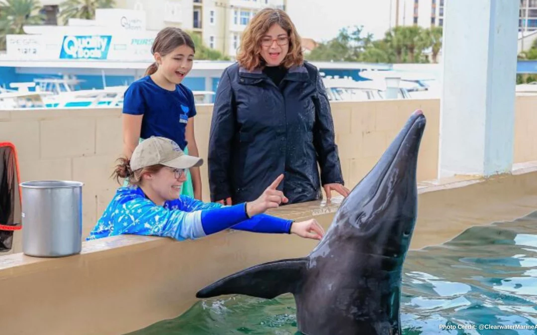 Tampa Bay Activities to do with Mom this Mothers Day