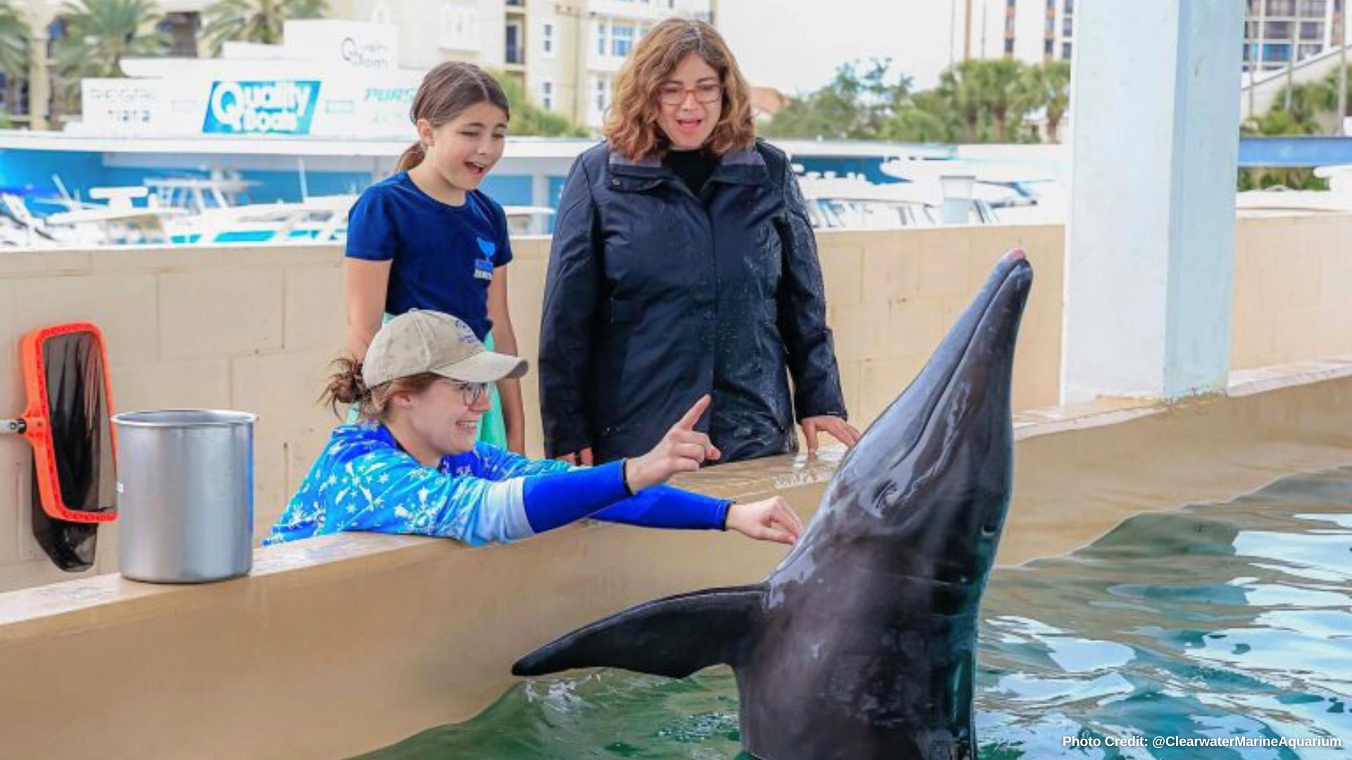 Trainer with Dolphin in pool at aquarium with mother and daughter