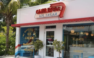 Chill Bros: A Cool Oasis in Tampa’s Ice Cream Scene