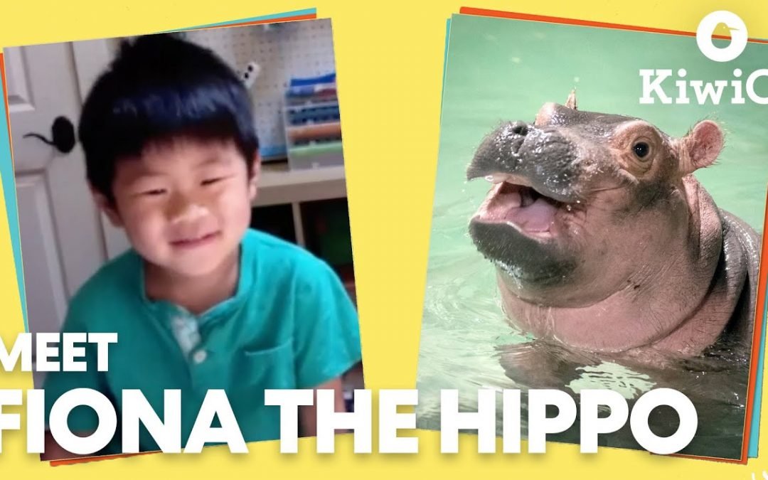 Kids Meet Fiona the Hippo & Her Zookeeper